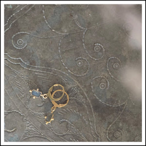 PAIRD Asha Leverback Earwires