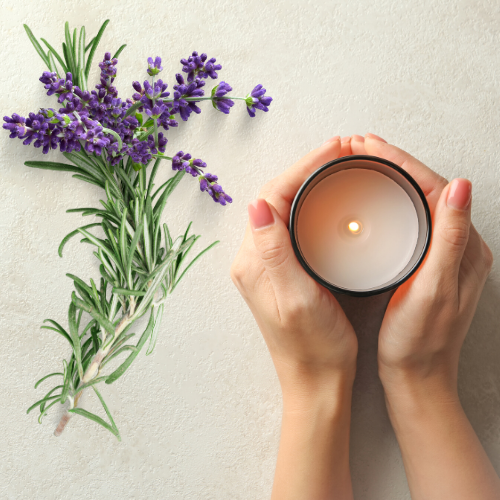 home scents, fragrances, candles and diffusers from zabecca living