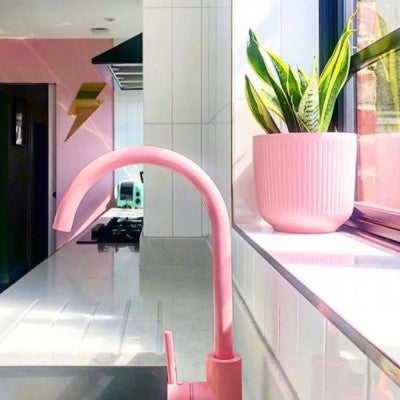 Ceramic pots and plants homewares