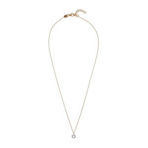 ALISIA Gold Necklace - Corinne Necklace - Zabecca Living