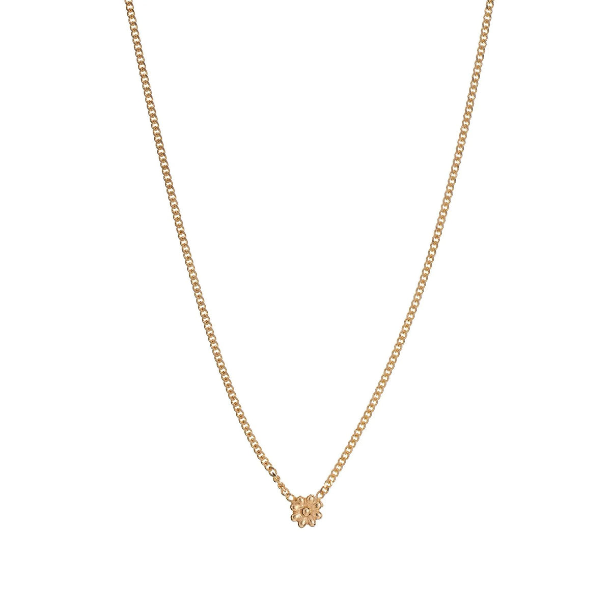 ALISIA Gold Necklace - Lily Simple Necklace - Zabecca Living