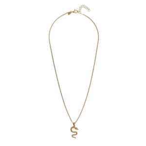 ALISIA Gold Necklace - Snake Necklace - Zabecca Living