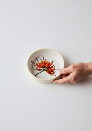 ANGUS & CELESTE Australian Botanicals Side Bowl - Grevillea Blossom bowl - Zabecca Living
