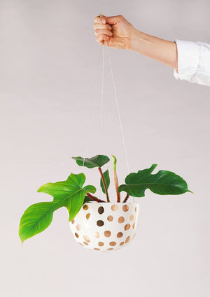 ANGUS & CELESTE Decorative Hanging Planter - Gold Spot POT - Zabecca Living