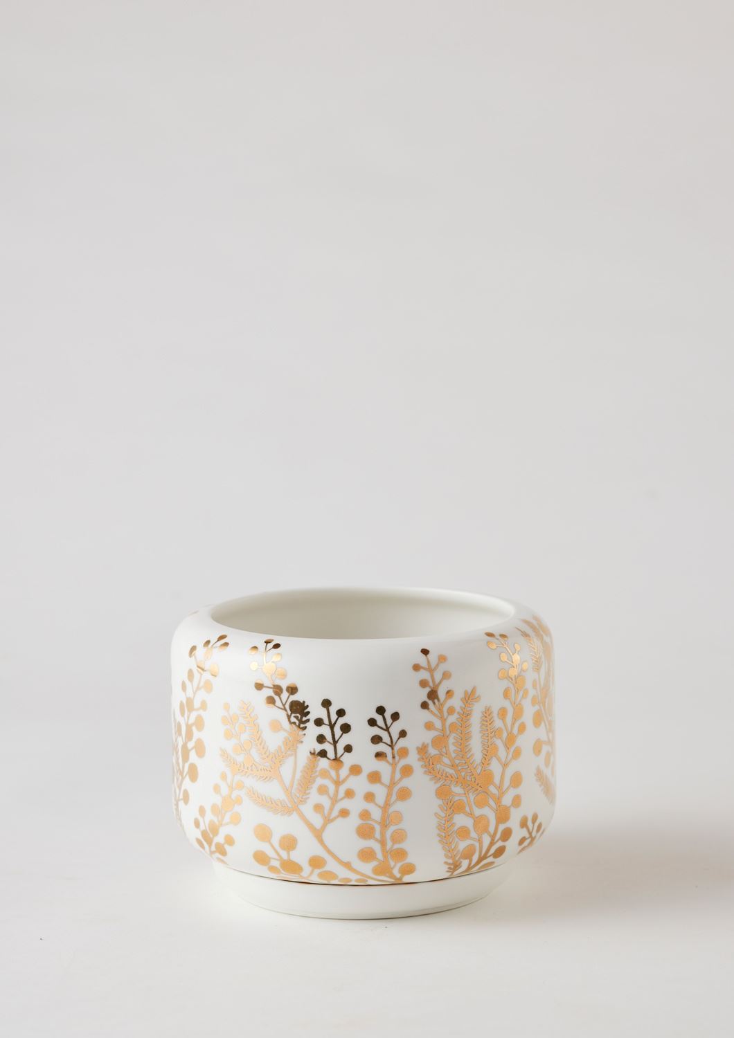 ANGUS & CELESTE Decorative Succulent Pot - Golden Wattle POT - Zabecca Living