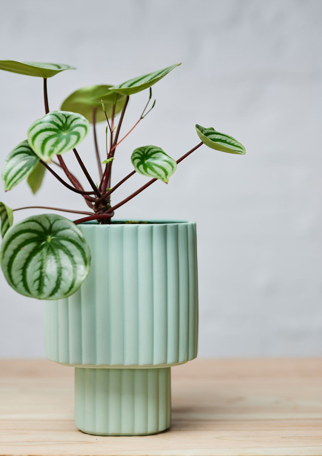 ANGUS &amp; CELESTE Modular Stack Planter - Mint POT - Zabecca Living