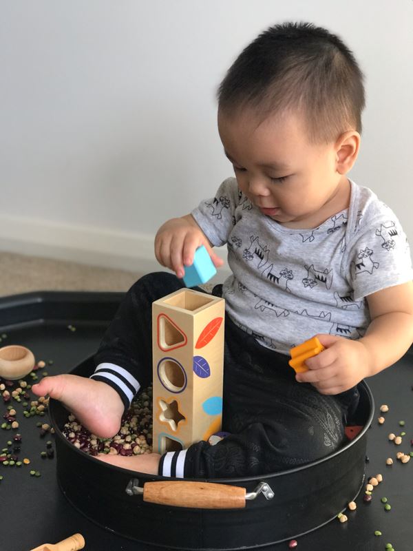 DJECO Boitabasic Shape Sorter TODDLER (1-3 Yrs) - Zabecca Living