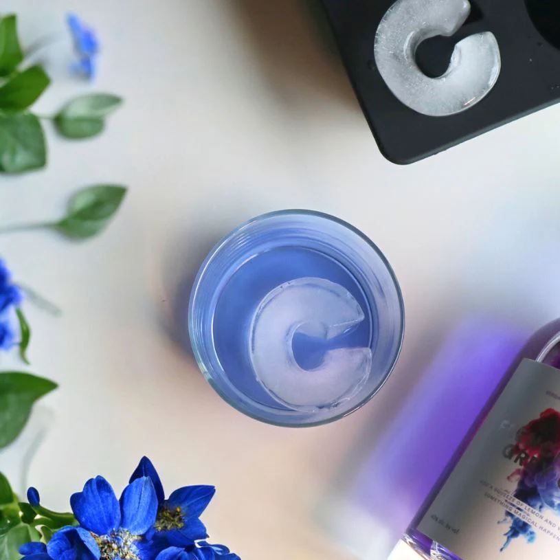 DRINK PLINKS Letter C Silicone Tray DRINKWARE - Zabecca Living