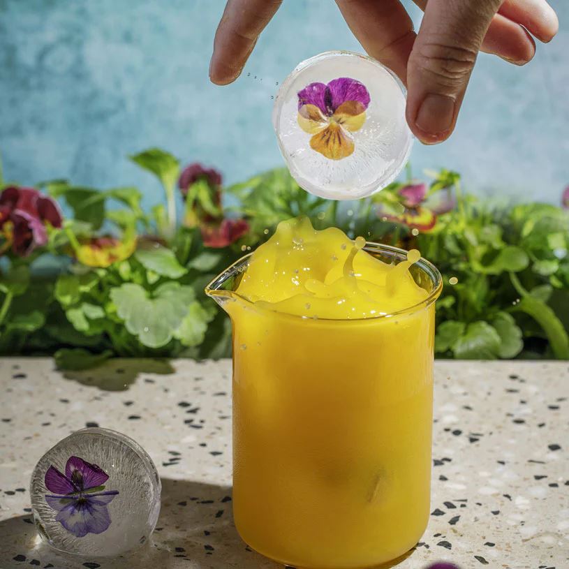 DRINK PLINKS Sassy Spheres Silicone Tray DRINKWARE - Zabecca Living