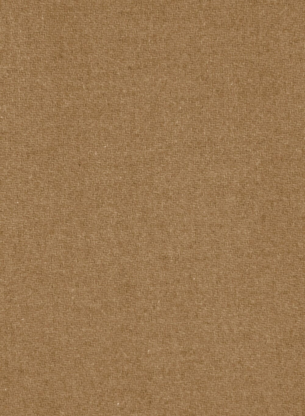 ESMAEE Eternal Coat - Camel Coat - Zabecca Living