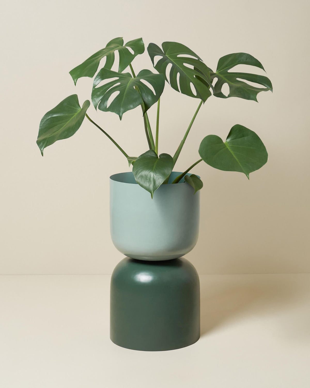 LIGHTLY Extra Large Two Tone Planter - Sage & Juniper Planter - Zabecca Living