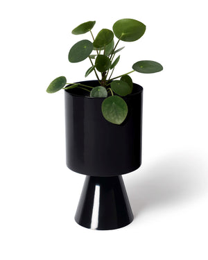 LIGHTLY Palm Springs Medium Planter - Black Planter - Zabecca Living