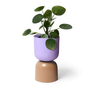 LIGHTLY Two Tone Planter - Lilac & Sorrel Planter - Zabecca Living