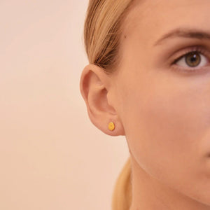 LINDA TAHIJA Vega Stud Earrings - Gold Plated Earrings - Zabecca Living