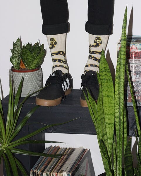 MENNIE Carpet Python/Gabul Socks Socks - Zabecca Living