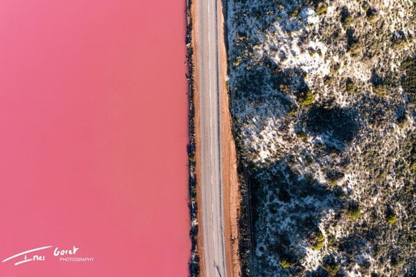 MENNIE Hutt Lagoon Socks Socks - Zabecca Living