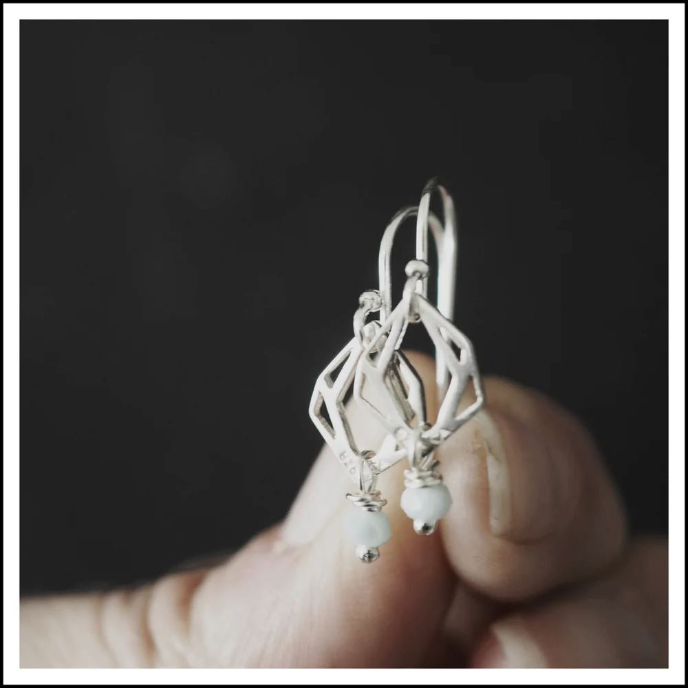 PAIRD Illusion Earrings Earrings - Zabecca Living