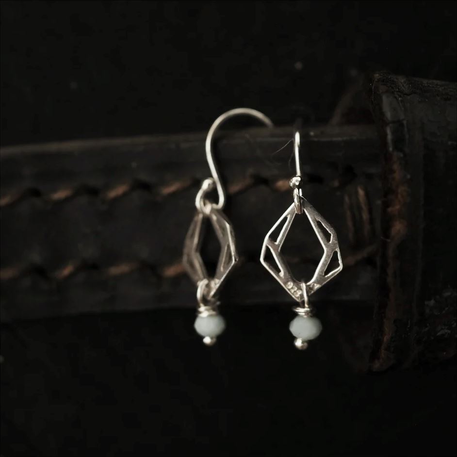 PAIRD Illusion Earrings Earrings - Zabecca Living