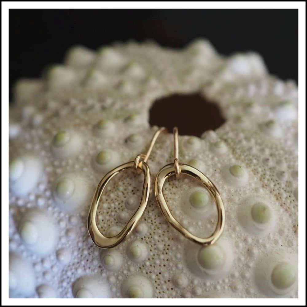 PAIRD Organic Flow Standard Earrings - Gold Earrings - Zabecca Living