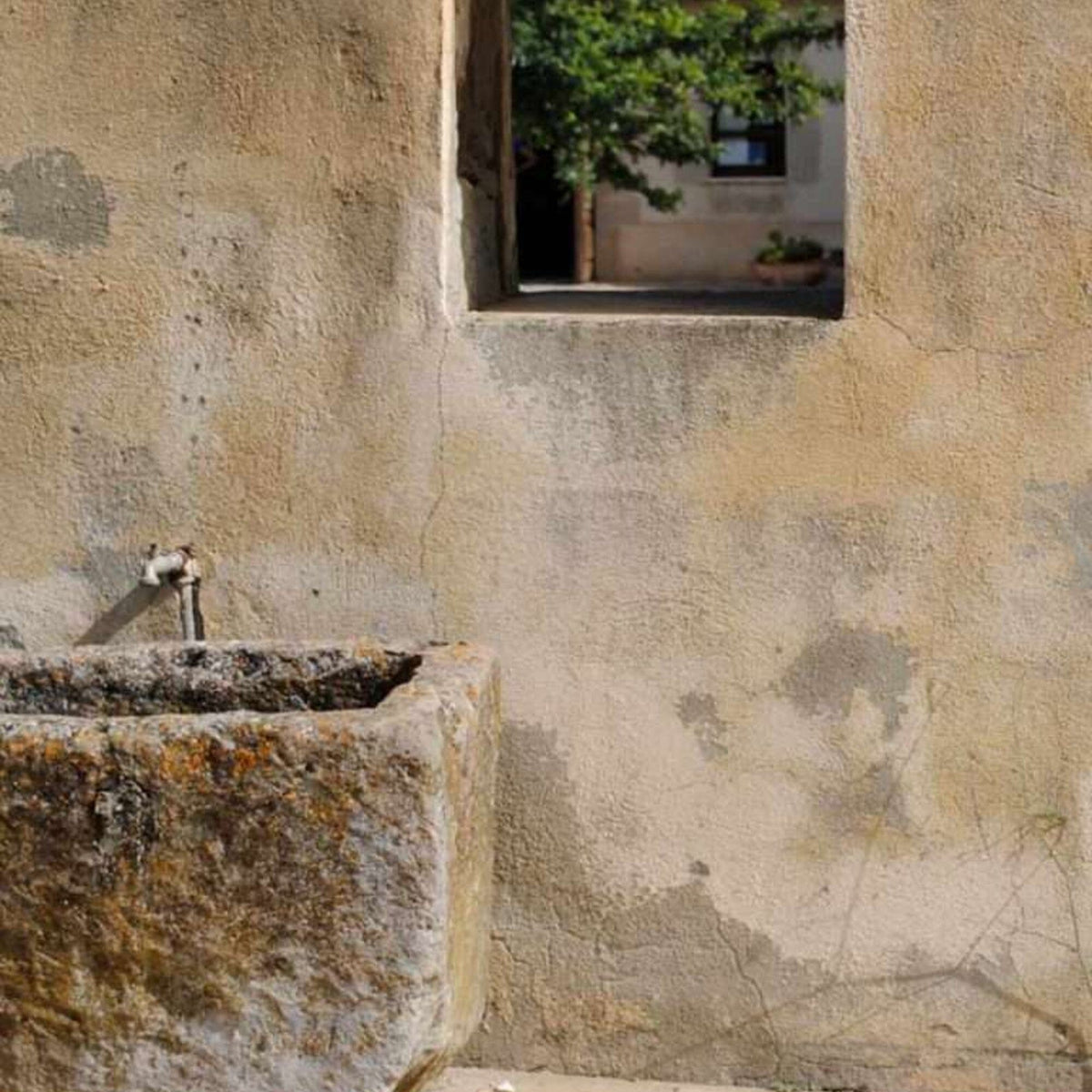 STEFANIA Sardinia Mediterranea Medium Earrings - Rosa Earrings - Zabecca Living