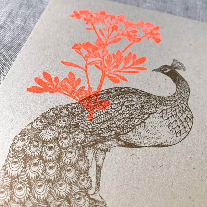 TOGETHERY Greeting Postcard - Peacock with Flower greeting card - Zabecca Living