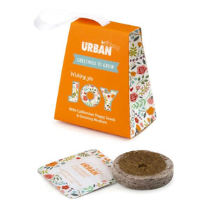 URBAN GREENS Greetings to Grow - Joy GROW KIT - Zabecca Living