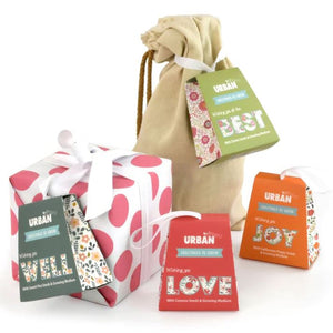 URBAN GREENS Greetings to Grow - Love GROW KIT - Zabecca Living