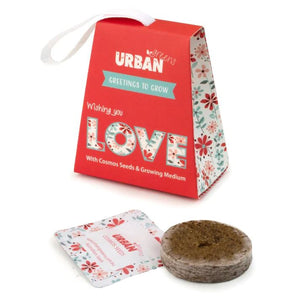 URBAN GREENS Greetings to Grow - Love GROW KIT - Zabecca Living