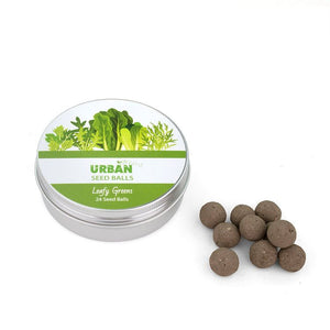 URBAN GREENS Seed Balls - Leafy Greens GROW KIT - Zabecca Living