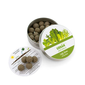 URBAN GREENS Seed Balls - Leafy Greens GROW KIT - Zabecca Living