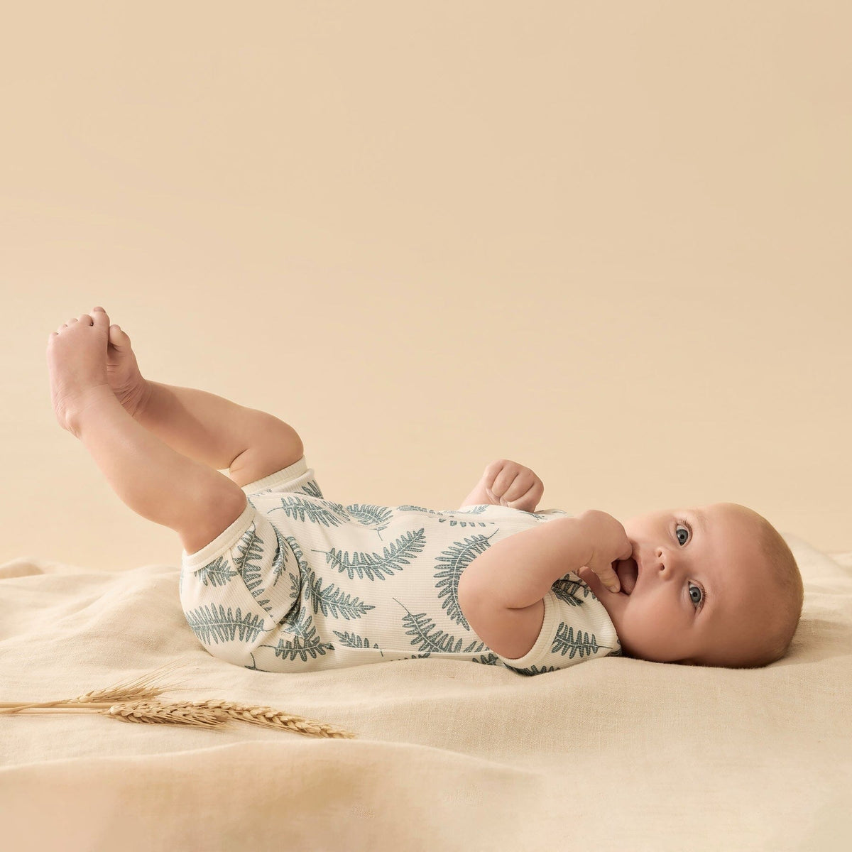 WILSON &amp; FRENCHY Organic Boyleg Zipsuit - Yeti Toddler Clothing - Zabecca Living