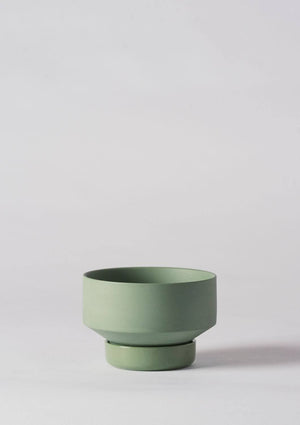 ANGUS & CELESTE Collectors Gro Pot Small - Olive Green POT - Zabecca Living
