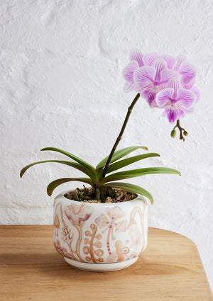 ANGUS & CELESTE Decorative Succulent Pot - Bohemian Dusk POT - Zabecca Living