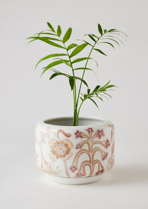 ANGUS & CELESTE Decorative Succulent Pot - Bohemian Dusk POT - Zabecca Living