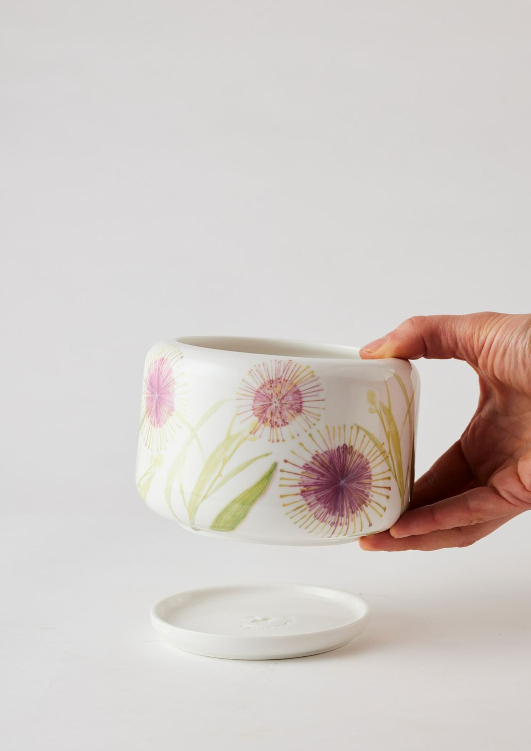 ANGUS & CELESTE Decorative Succulent Pot - Hakea Blossom POT - Zabecca Living