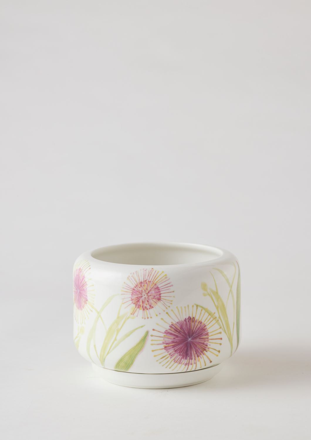 ANGUS & CELESTE Decorative Succulent Pot - Hakea Blossom POT - Zabecca Living