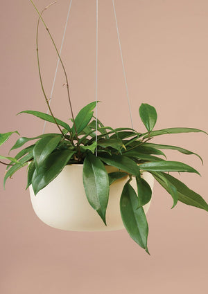 ANGUS & CELESTE Raw Earth Hanging Planter Mid - Clay POT - Zabecca Living