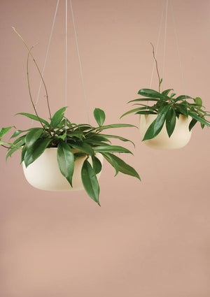 ANGUS & CELESTE Raw Earth Hanging Planter Mid - Clay POT - Zabecca Living