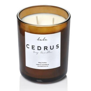 BABE Luxury Soy Candle - Cedrus CANDLE - Zabecca Living