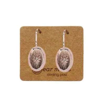 EAR MINTS Cubic Oval Star FH Clear Earrings Earrings - Zabecca Living