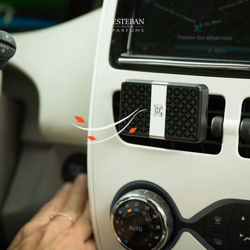 ESTEBAN Car Diffuser - Teck &amp; Tonka AIR FRESHENER - Zabecca Living