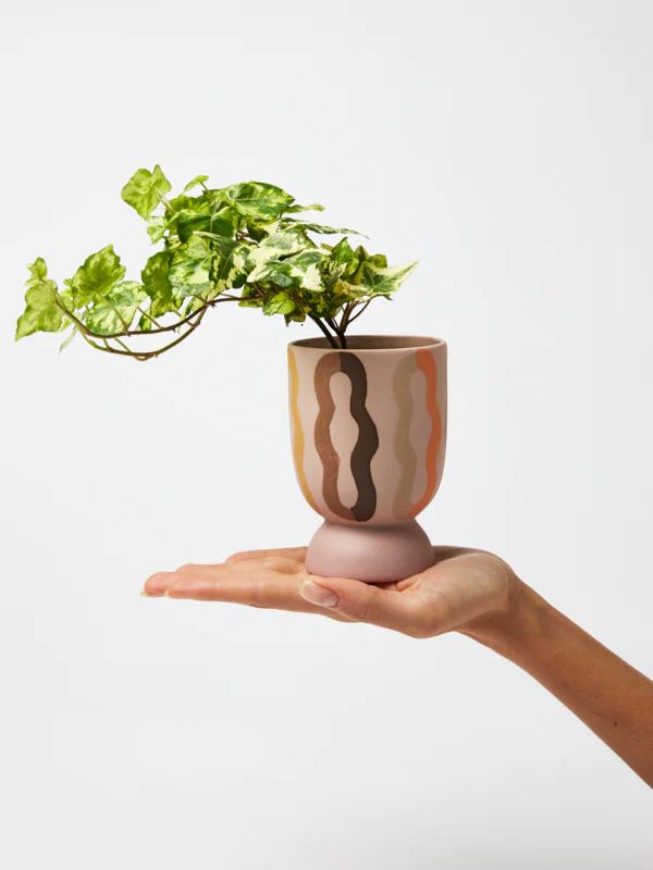 JONES &amp; CO Loopy Tall Planter - Pink POT - Zabecca Living