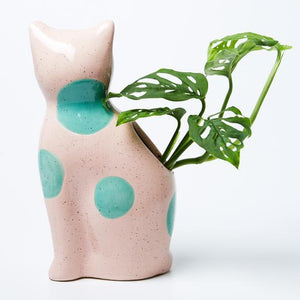 JONES & CO Perry Cat - Pink POT - Zabecca Living