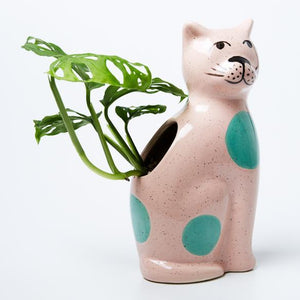 JONES & CO Perry Cat - Pink POT - Zabecca Living