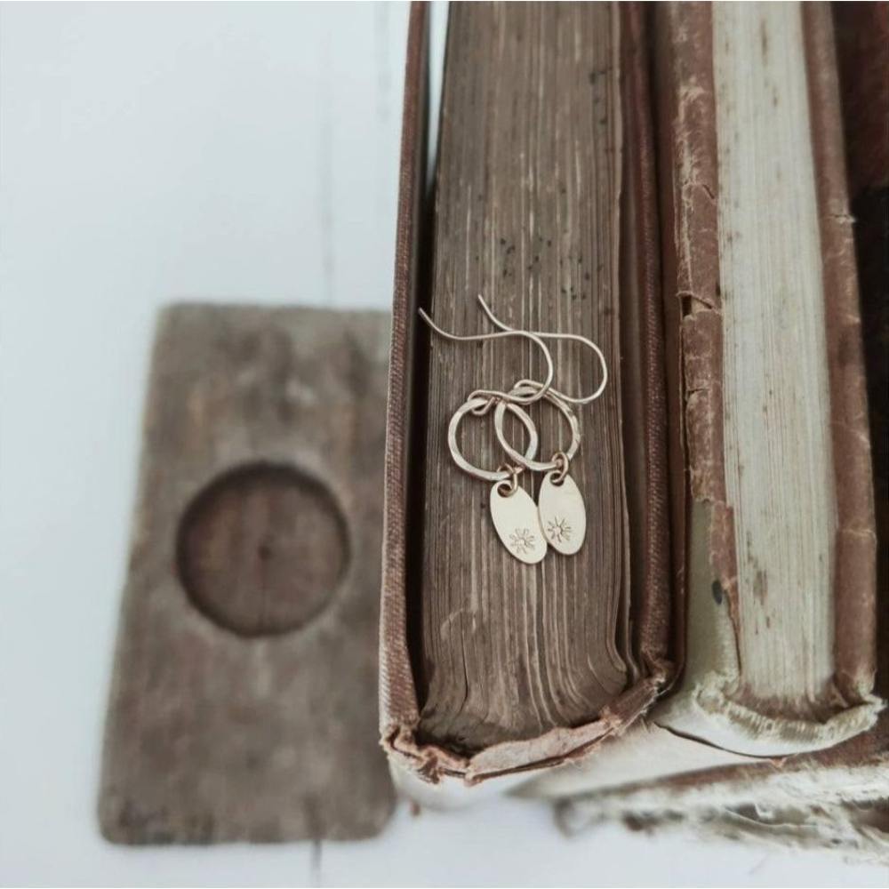 PAIRD Alpha Star Earrings Earrings - Zabecca Living