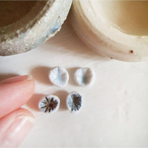 PAIRD Porcelain Limpet Studs Earrings - Zabecca Living