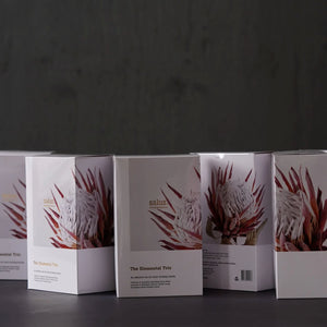 SALUS The Elemental Trio GIFT PACK - Zabecca Living