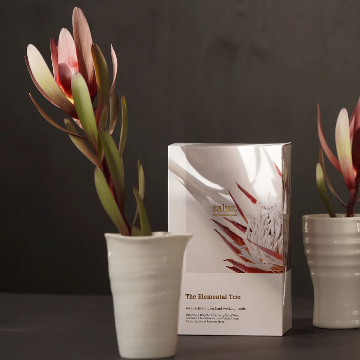 SALUS The Elemental Trio GIFT PACK - Zabecca Living