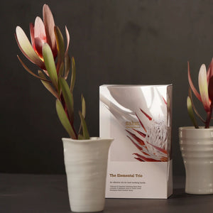 SALUS The Elemental Trio GIFT PACK - Zabecca Living