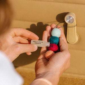 SMELLY BALLS Roadie Set - Coastal Drift AIR FRESHENER - Zabecca Living